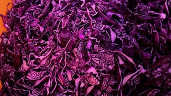 Two hands grab red cabbage