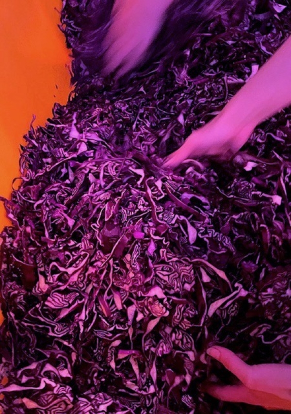 Two hands grab red cabbage