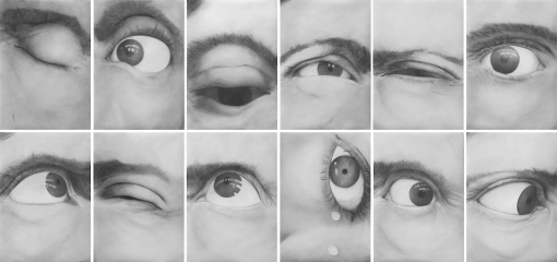 Foto: Rainer Wölzl_DER BLICK, 2017 - Aus der Serie Museum der Schatten; Öl, Kohle/Papier, 12 teilig,
                                          je 100 x 70 cm, gesamt: 201 x 425 cm