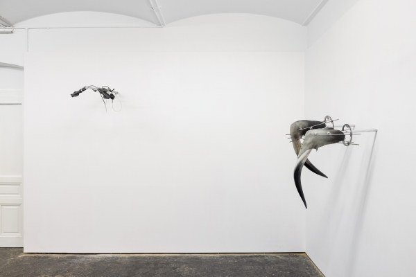 Exhibition view: Stray affections,
                                          2024 photo by Kunstdokumentation.