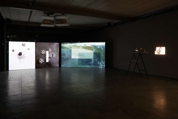 of cities and private living rooms, Two-Channel Video Installation