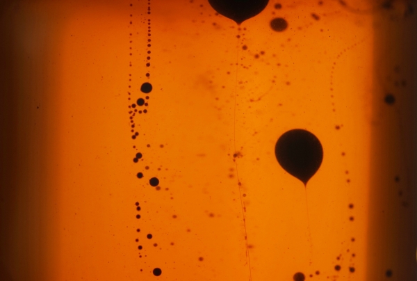 Crude Oil in Honey Ernst Logar, Bildrecht 2022