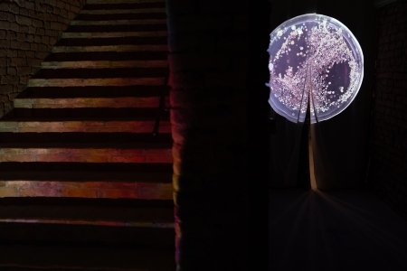 Installation view I´m abundant, yet scarce