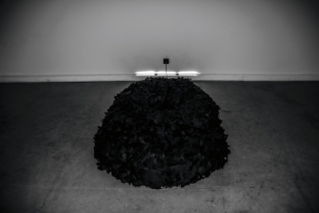 Bild: sleeping domains - Thomas Wagensommerer 2015