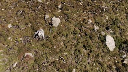 Talszenen – Das verzauberte Tal (A
                                          2022 | 28:50 min), Foto: Videostill