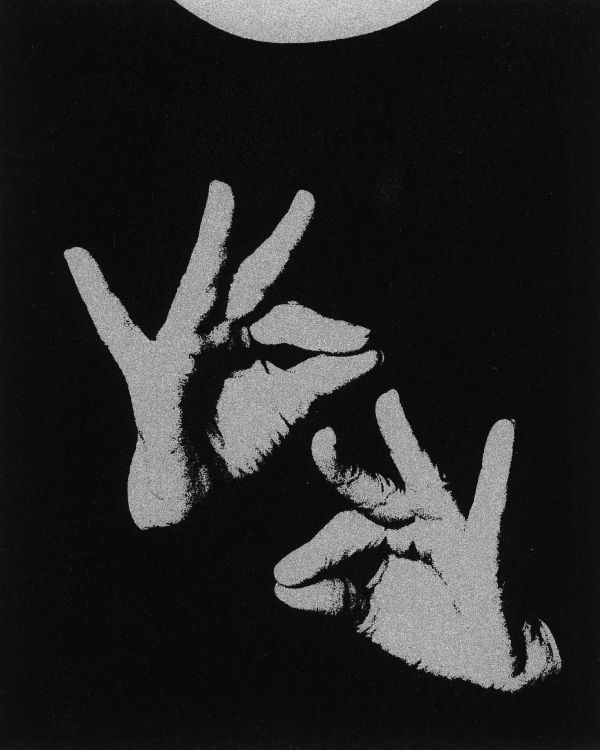 JAHAN SABER
                                          ZAIMIAN, part of the series „The Fallen Tree“, 2025, Screen printing, black on silver, 31,5 x 26 cm © Jahan Saber Zaimian