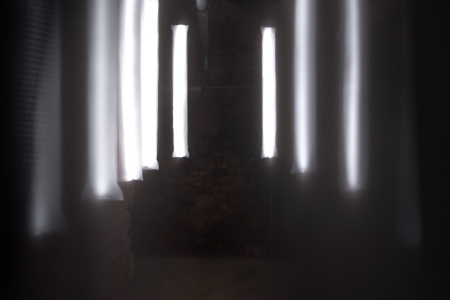 Installation view I´m abundant, yet scarce