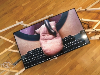 Ausstellungsansicht