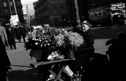 Fotoarchiv Elly Niebuhr Kunstsammlung und Archiv