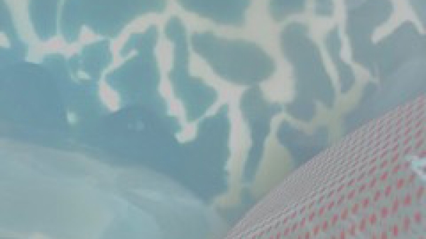 Ausstellungsbild @Birgit F. & Elena Riener