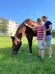 Social Design-Studio, Amanda Sperger