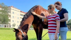 Social Design-Studio, Amanda Sperger