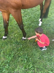 Amanda Sperger KHM 3