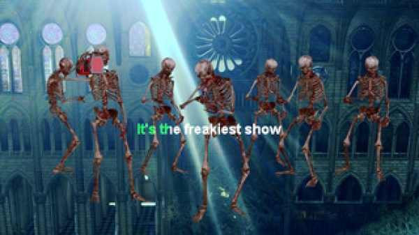 Skelette