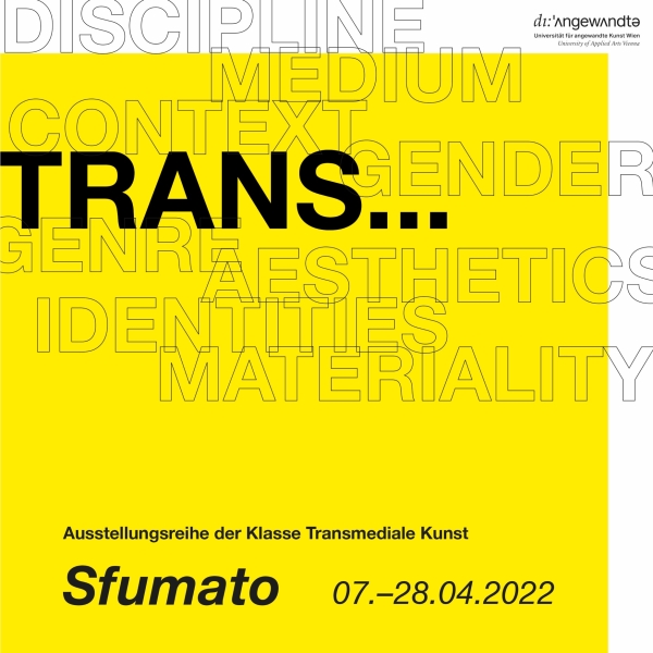 Trans… Genre, Medium, Kontext, Disziplin, Materialität, Ästhetik, Identitäten, Geschlecht... 