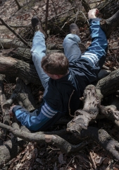 Poster: Mann im Wald