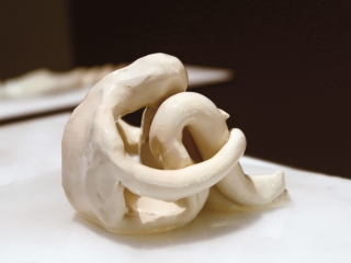 Ausstellungsansicht
