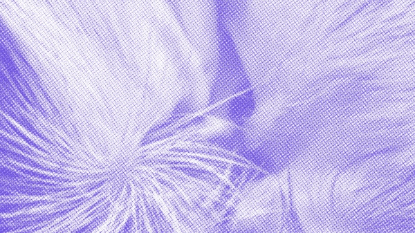 Graphic
                                          event poster AIL The World in my Room, MUELLER-DIVJAK