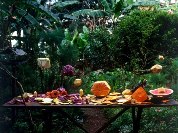 Fruits on a table
                                          in the forest
