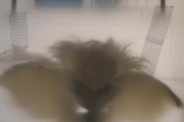 Eine abstrakte Fotografie