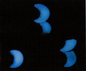 Walter Ruttmann, Lichtspiel Opus 1 (1921), All rights reserved by the artists / Courtesy of Light Cone, Paris