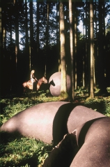 Pappkörper, 2000, Heiri Häfliger