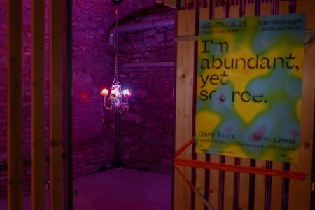 Installation view I´m abundant, yet scarce