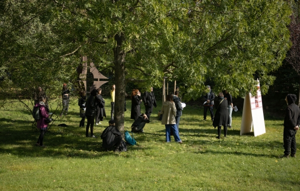 Wiese und Bäume