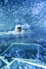 Cat in a deep freeze, Foto: Moritz Schell