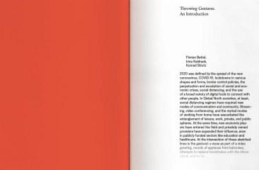 Throwing Gestures. Protest, Economy and the Imperceptible
