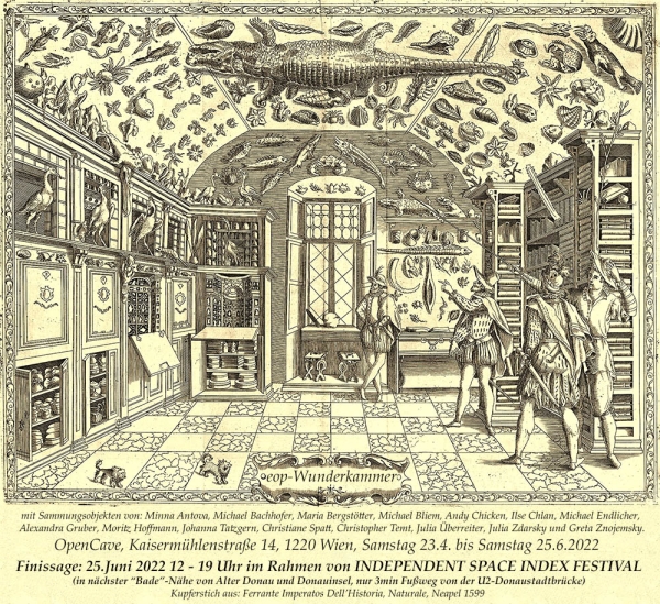 Bild einer alten Wunderkammer