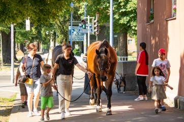 Fabian Kitzberger KHM 1