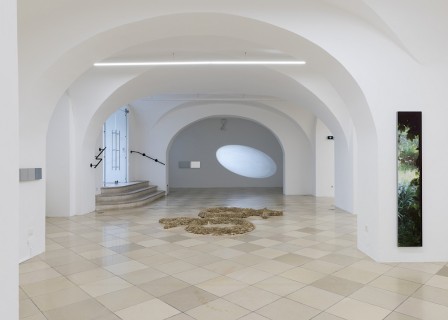 Exhibition view, dysfunctional malappropriation, 2024, photo: Lea Sonderegger