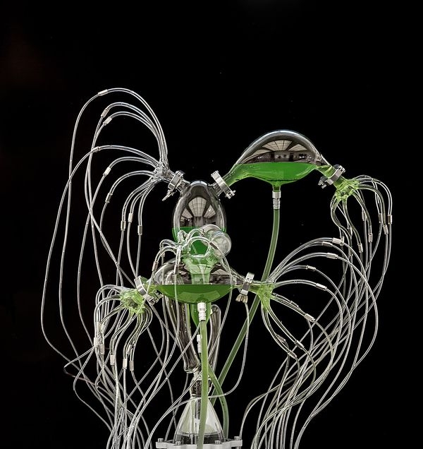 Green Hydra