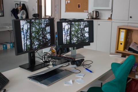 Arbeit von Signe Westberg - zwei Bildschirme, auf denen Bäume zu sehen sind