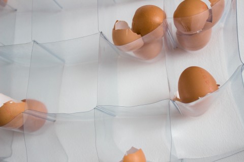 Work by Paola Cenati / Close up view of a clear soft plastic shelf with eggshells