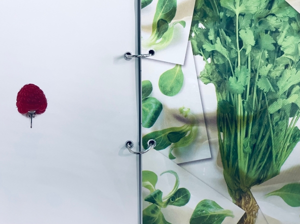 Fotos einer Himbeere als Ohrstecker und einer Fotocollage mit Petersilie